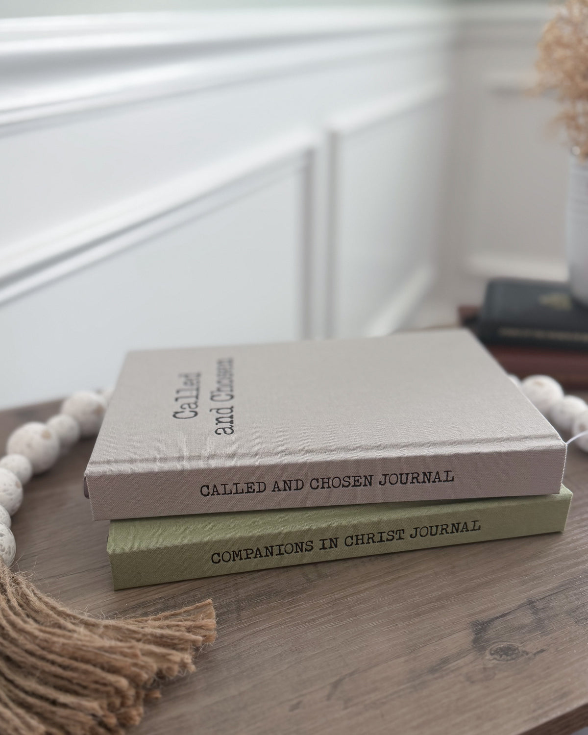 The Salt and Light Missionary Journal Set